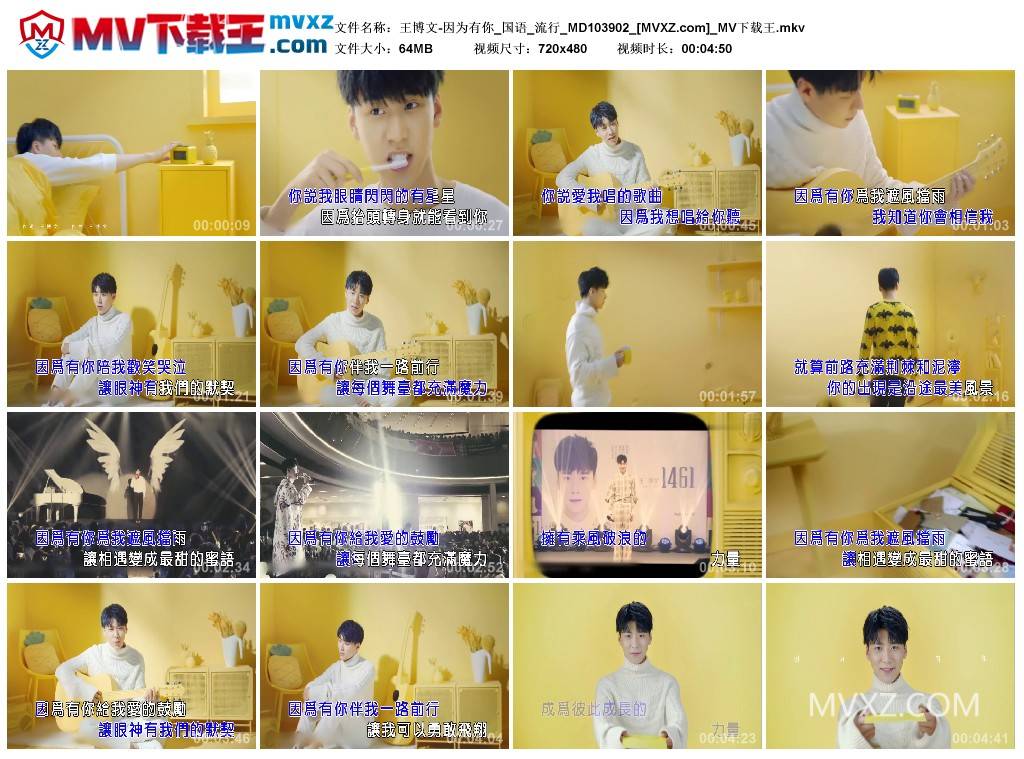 王博文-因为有你_国语_流行_MD103902